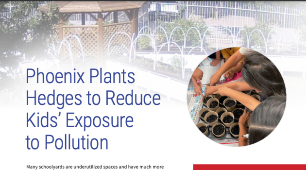 Case study cover page