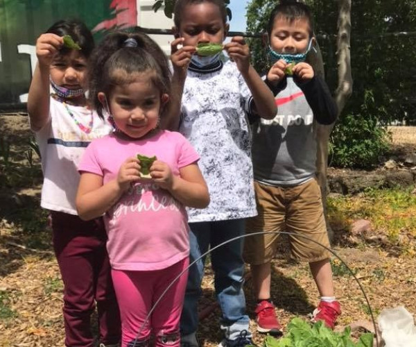 Toddlers at the Production Farm in Marin