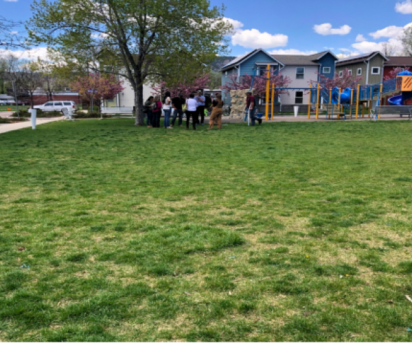 Soil Samples in a BHP neighborhood