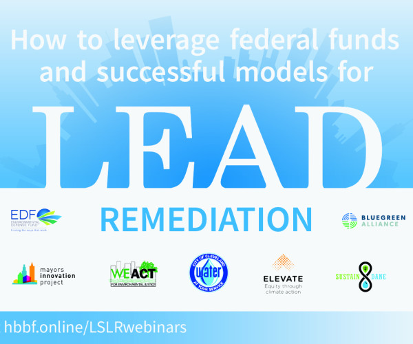 Powerpoint slide: Lead