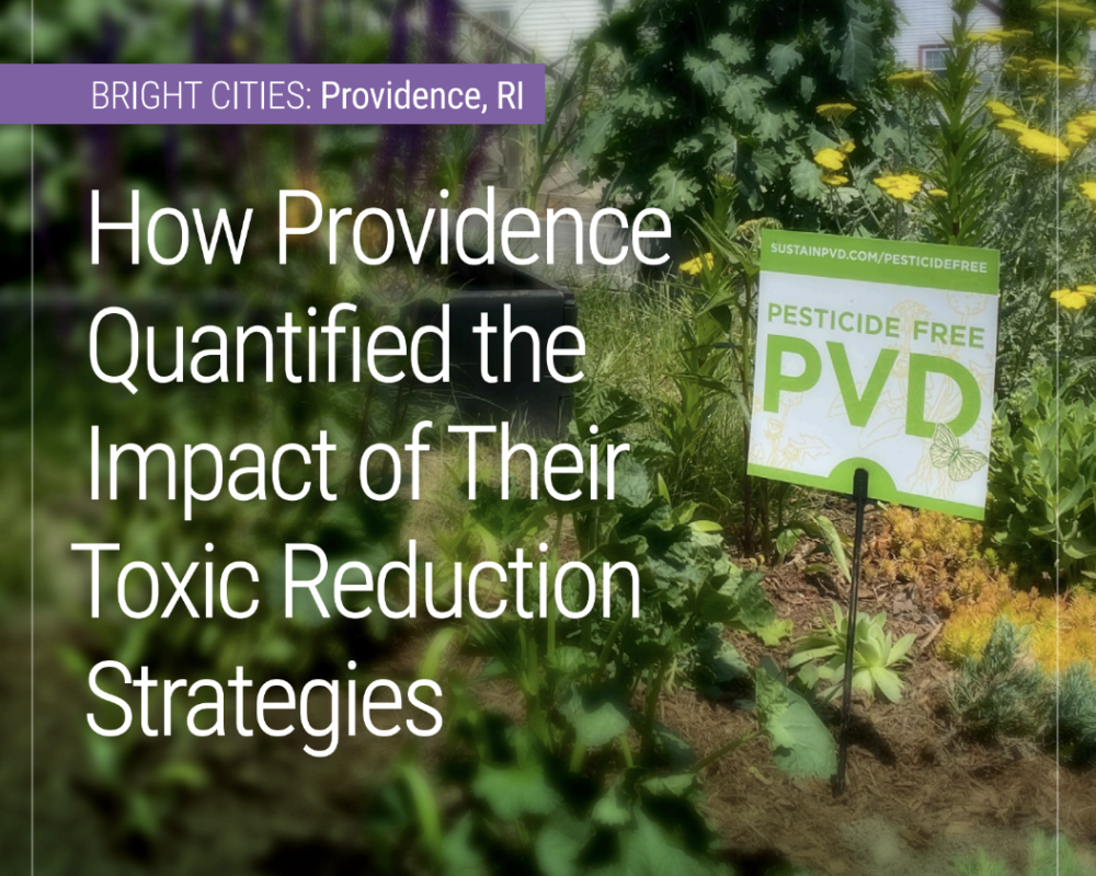 Providence Cover Photo